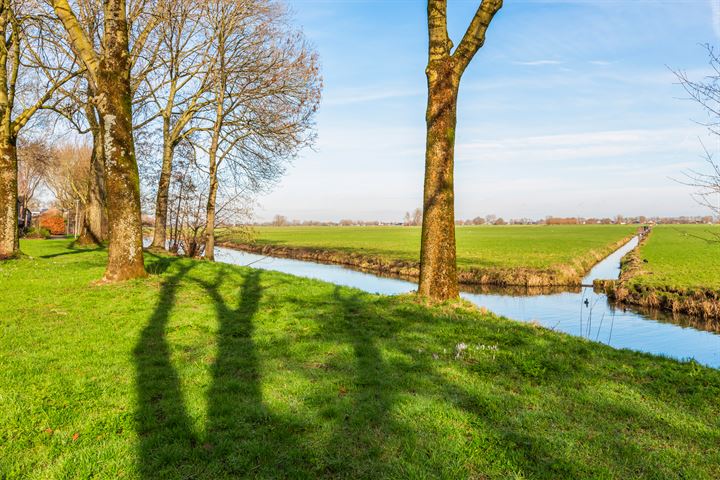 Bekijk foto 39 van Omloop West 11