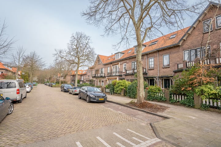 Bekijk foto 3 van Johan de Wittstraat 25