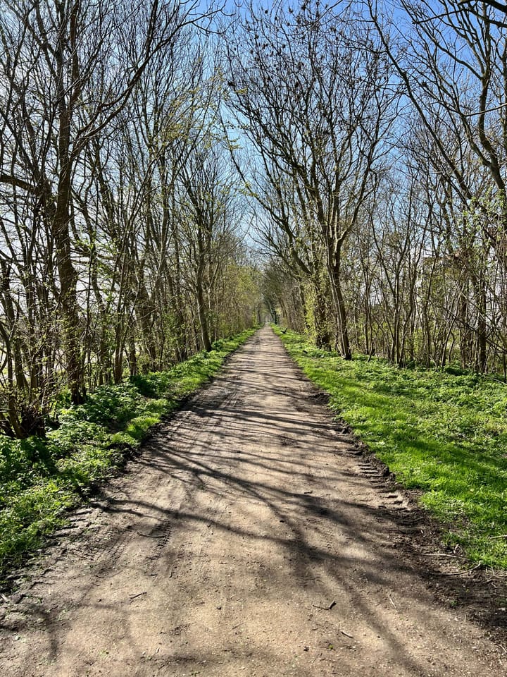 Foto 18 van Boulevard de Wielingen 7-11