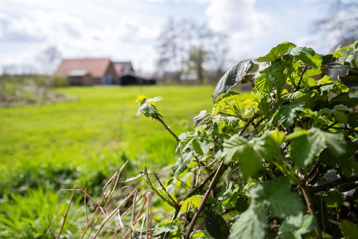 Bekijk foto 61 van Lieversdijk 33-A