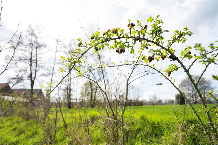 Bekijk foto 64 van Lieversdijk 33-A