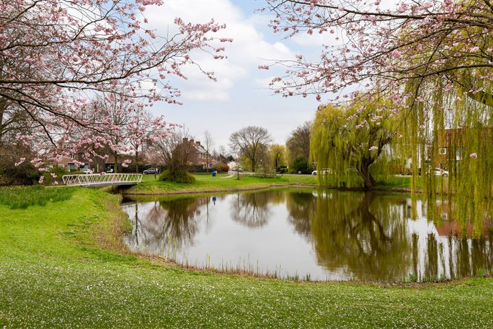 Bekijk foto 41 van van Heutszpark 30