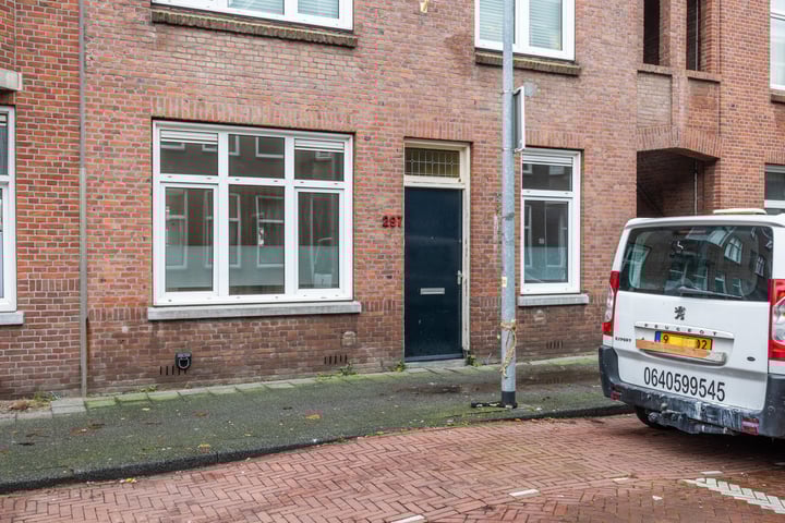Bekijk foto 2 van Maasstraat 297