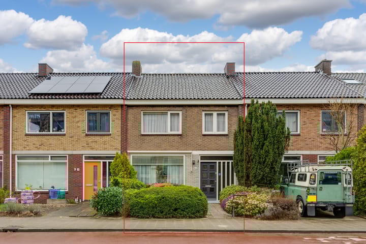 undefined main image