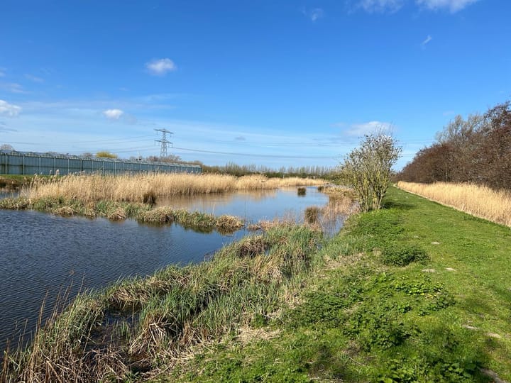 Foto 4 van Noord-Lierweg