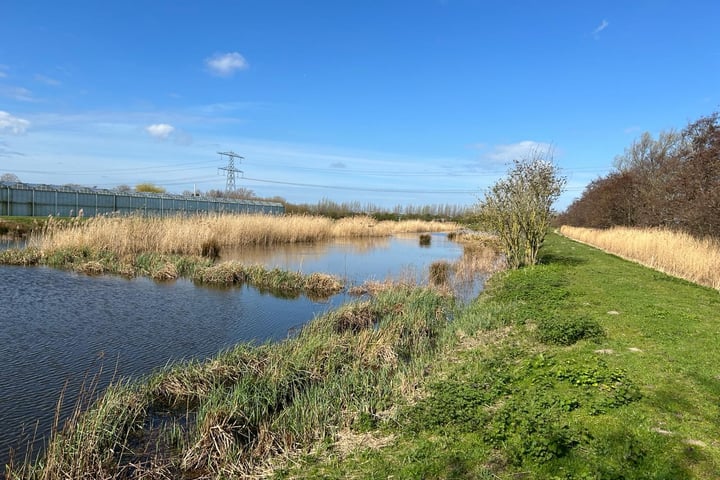 Bekijk foto 4 van Noord-Lierweg