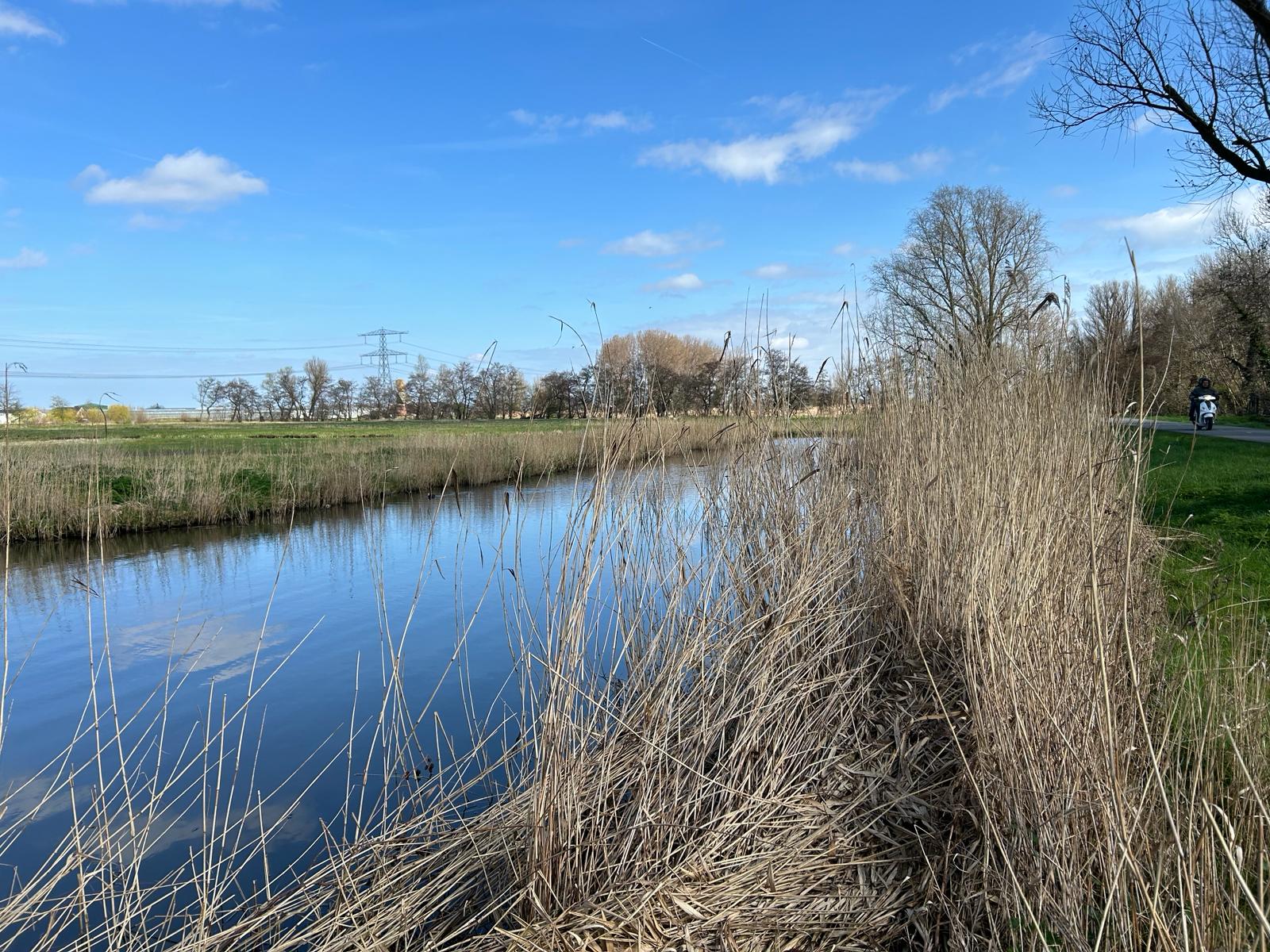 Photo 3 of Noord-Lierweg