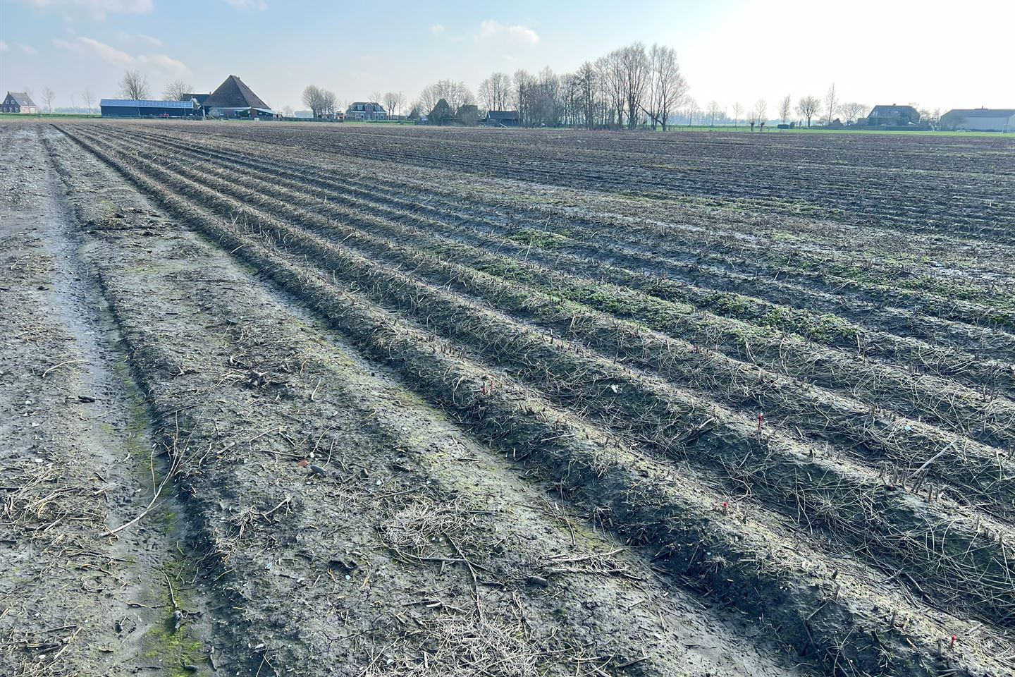 Bekijk foto 4 van Gemaalweg