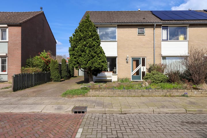 undefined main image