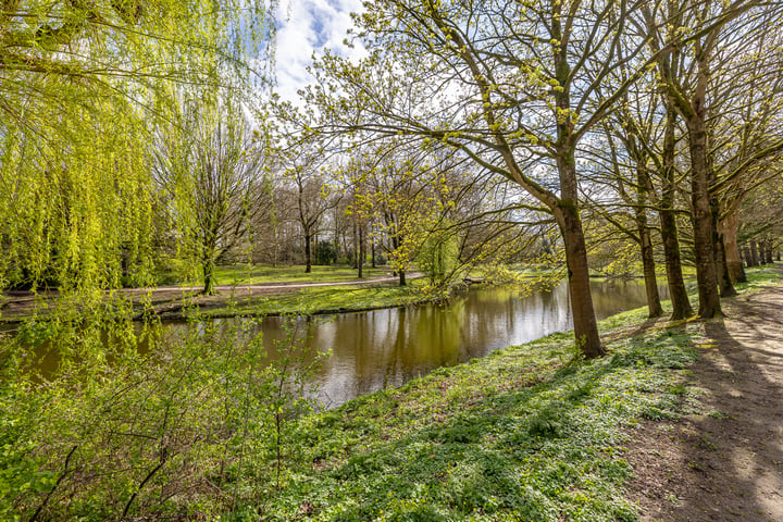 Bekijk foto 33 van Noorderbuitensingel 20