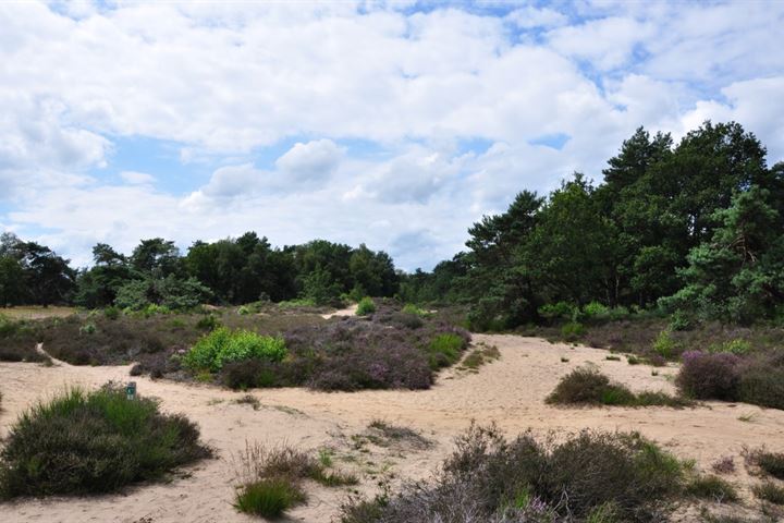 Bekijk foto 55 van Voorkampenweg 1