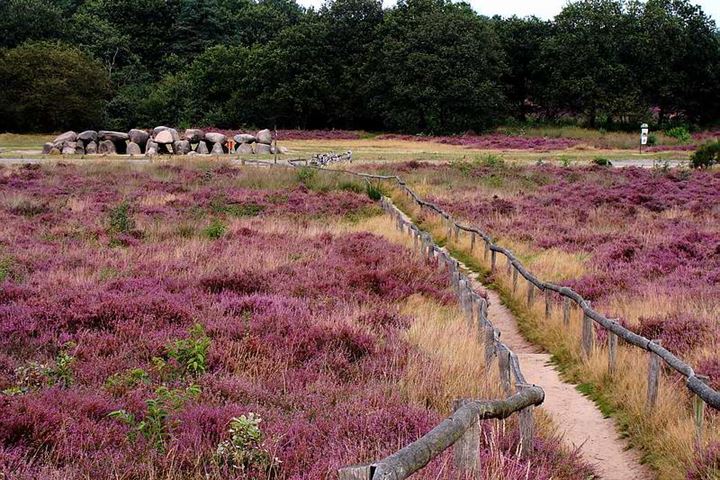 Bekijk foto 54 van Voorkampenweg 1