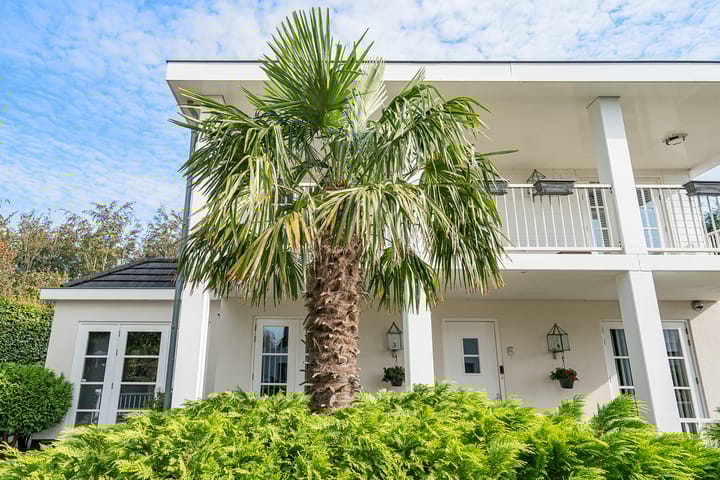 Foto 59 van Korenbeursstraat 6