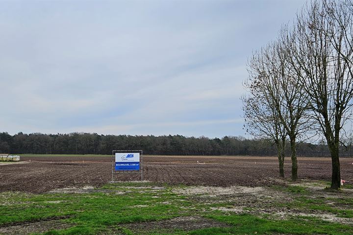 Bekijk foto 1 van Emmerseweg