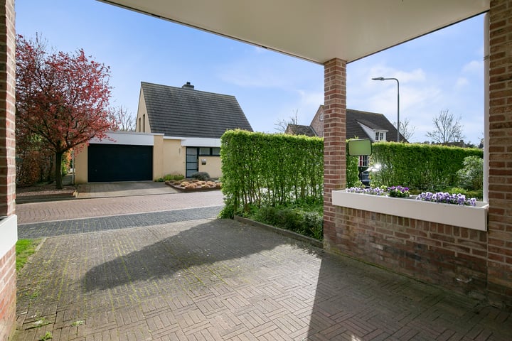 Foto 50 van Klaver 1
