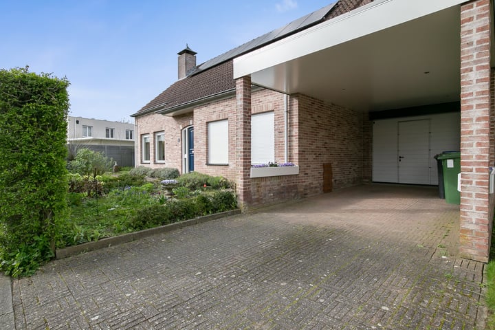 Foto 2 van Klaver 1
