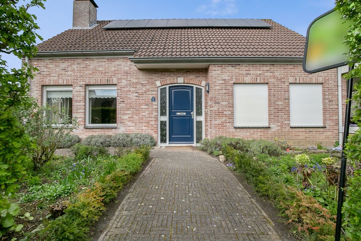 Foto 7 van Klaver 1