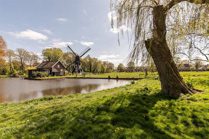 Bekijk foto 48 van Van Dortstraat 48