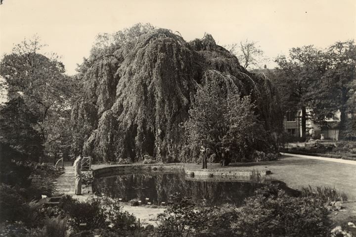 Bekijk foto 85 van 5e Binnenvestgracht 6