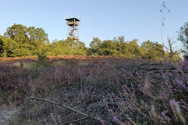 Bekijk foto 64 van Dennenlaan 16