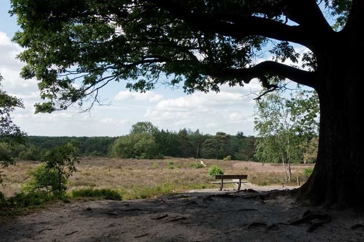 Bekijk foto 63 van Dennenlaan 16