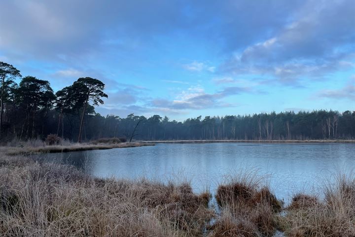 Bekijk foto 65 van Dennenlaan 16