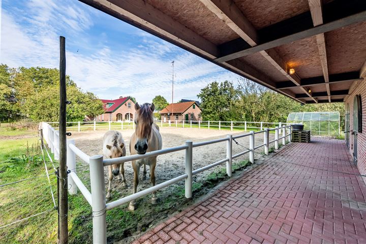 Bekijk foto 60 van Van Heemstraweg 14