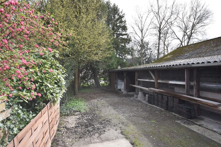 Photo 14 of Tjaerdawei 31