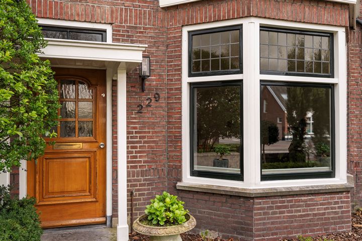 Bekijk foto 9 van Hengelosestraat 229