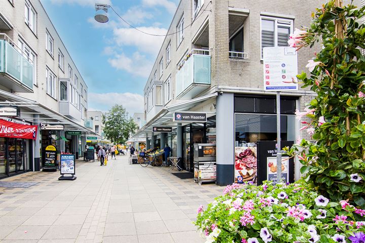 Bekijk foto 46 van Aletta Jacobsstraat 20