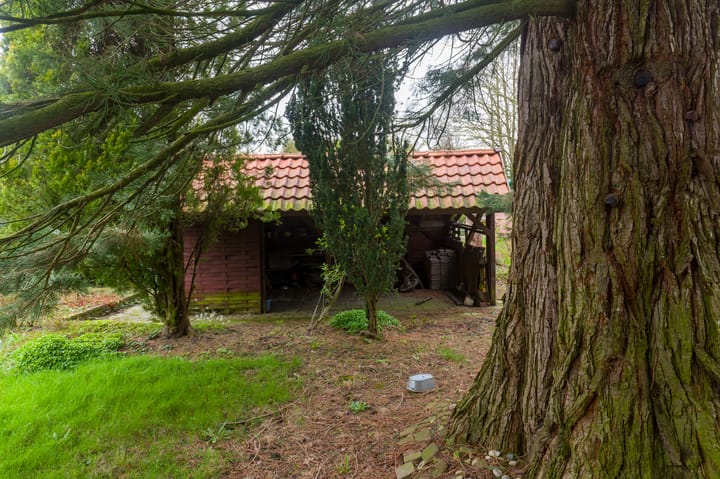 Foto 46 van Grintweg 74