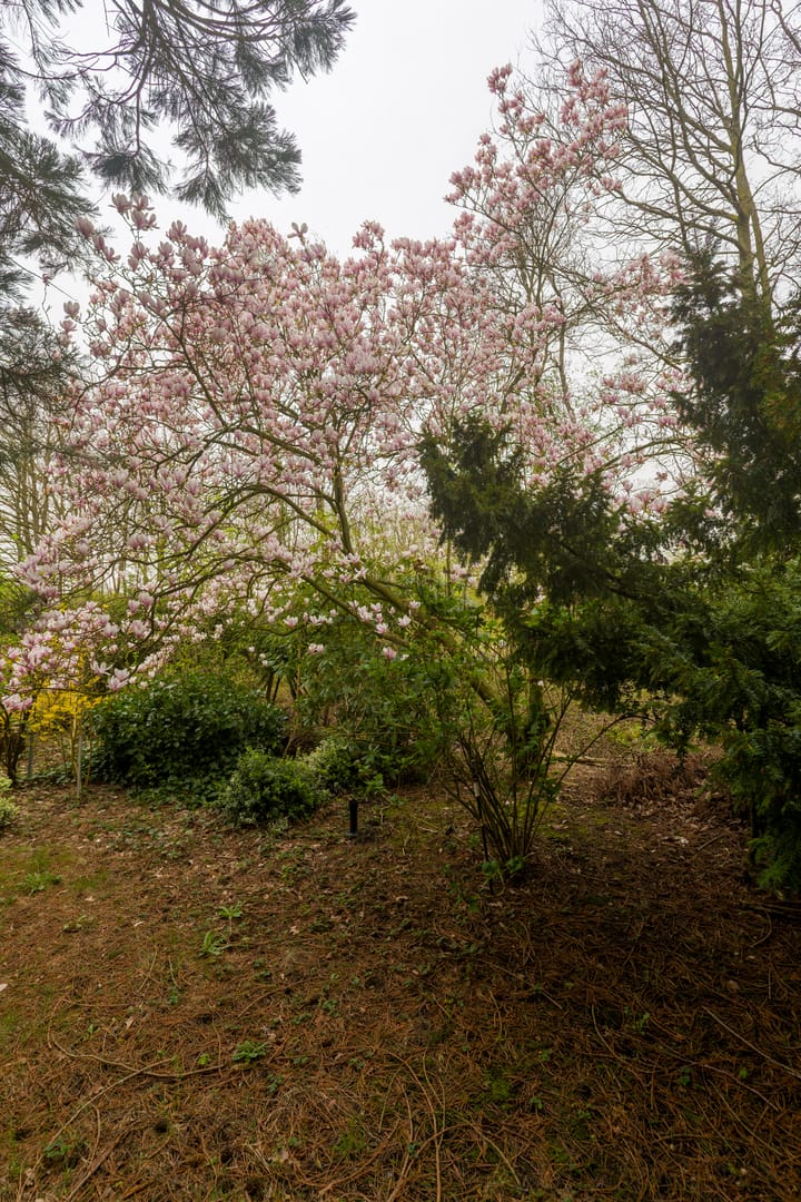 Foto 47 van Grintweg 74