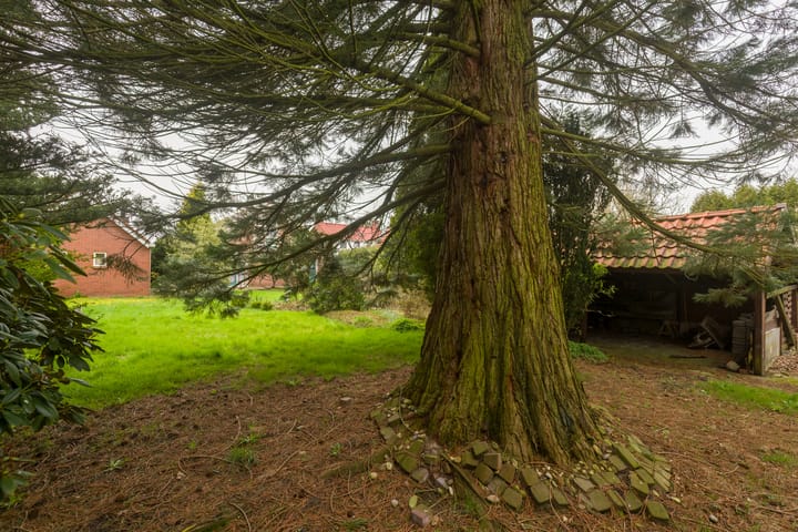 Foto 48 van Grintweg 74