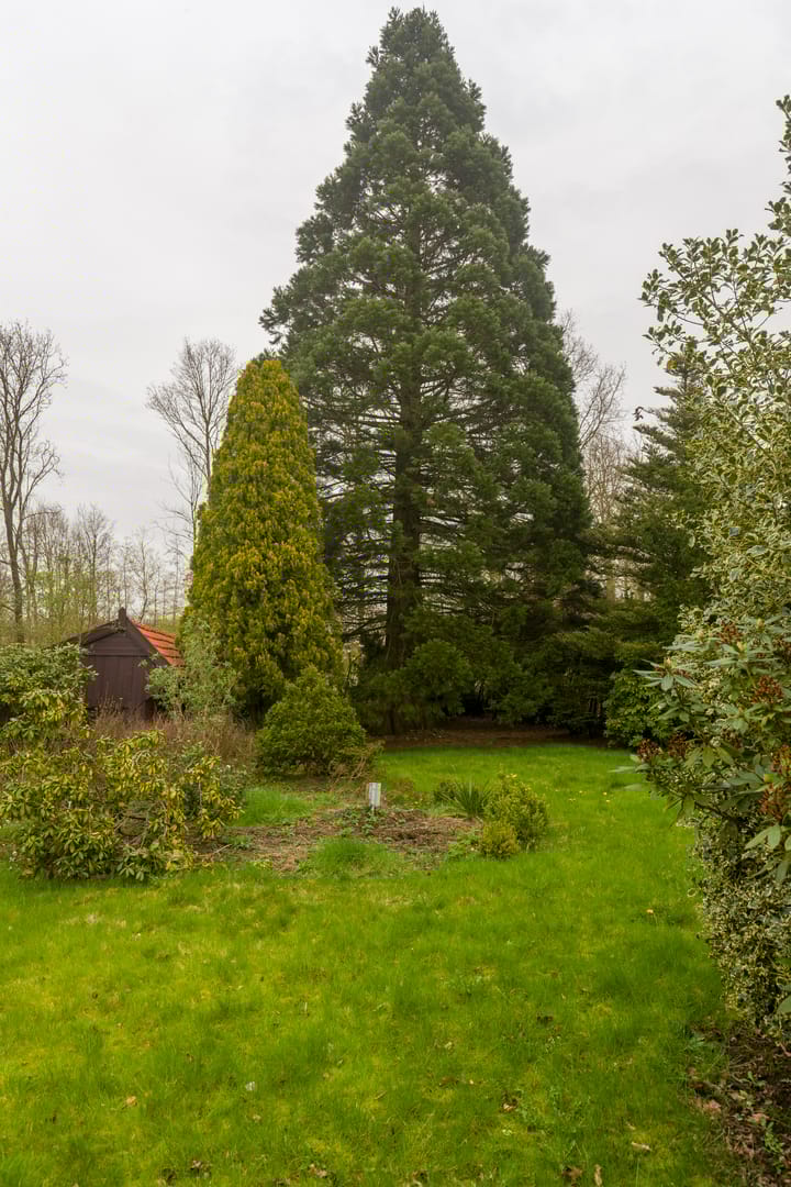 Foto 44 van Grintweg 74