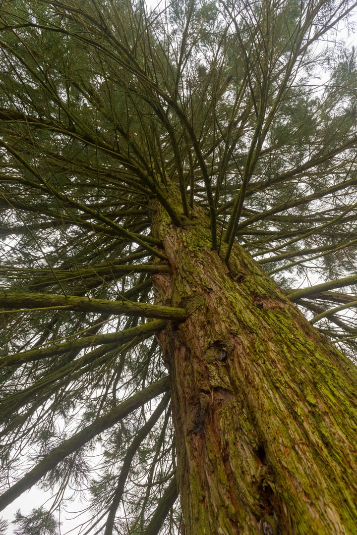 Foto 45 van Grintweg 74