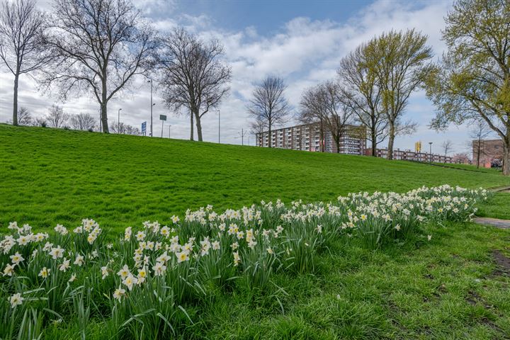 Bekijk foto 24 van Rotterdamsedijk 18-A