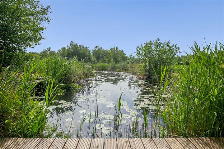 Bekijk foto 6 van Oudeweg 97