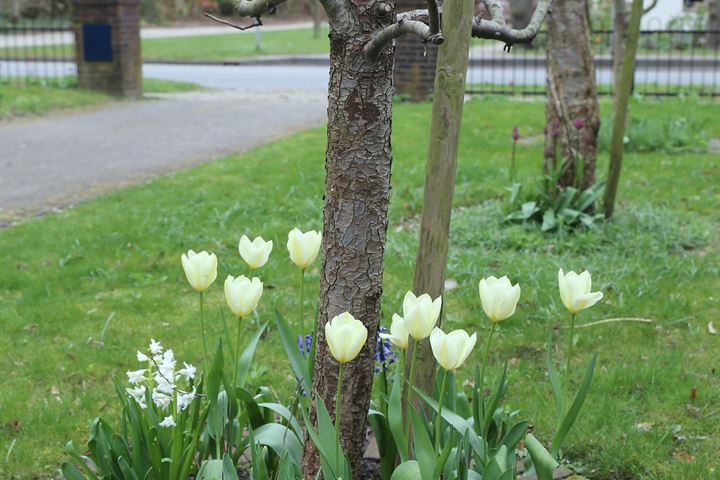 Bekijk foto 38 van Gasselterweg 32