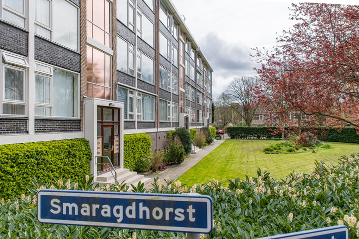 Bekijk foto 3 van Smaragdhorst 15