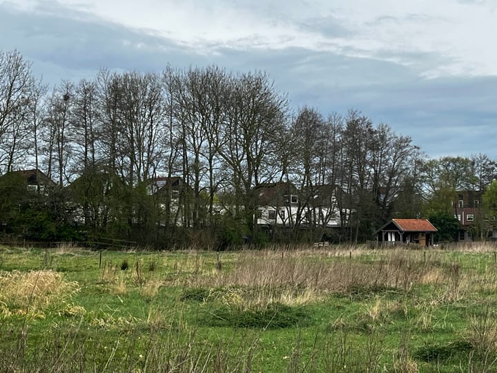 Photo 3 of Luzernevlinder