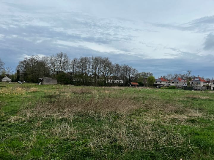 Photo 4 of Luzernevlinder