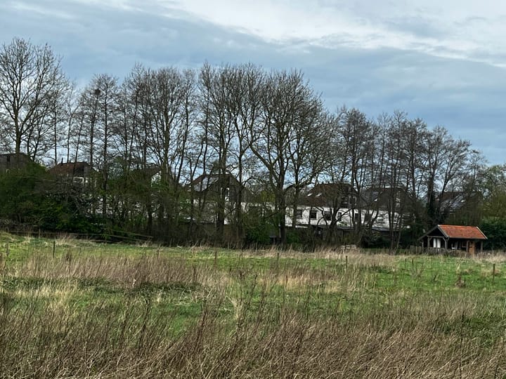 Photo 5 of Luzernevlinder