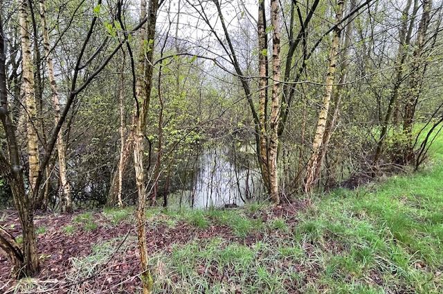 Bekijk foto 3 van Groeneweg ong. - Perceel bosgrond