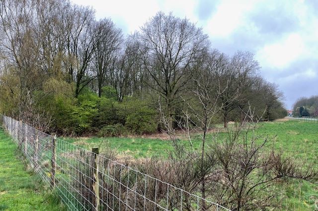 Bekijk foto 1 van Groeneweg ong. - Perceel bosgrond