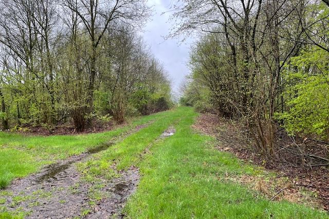 Bekijk foto 2 van Groeneweg ong. - Perceel bosgrond