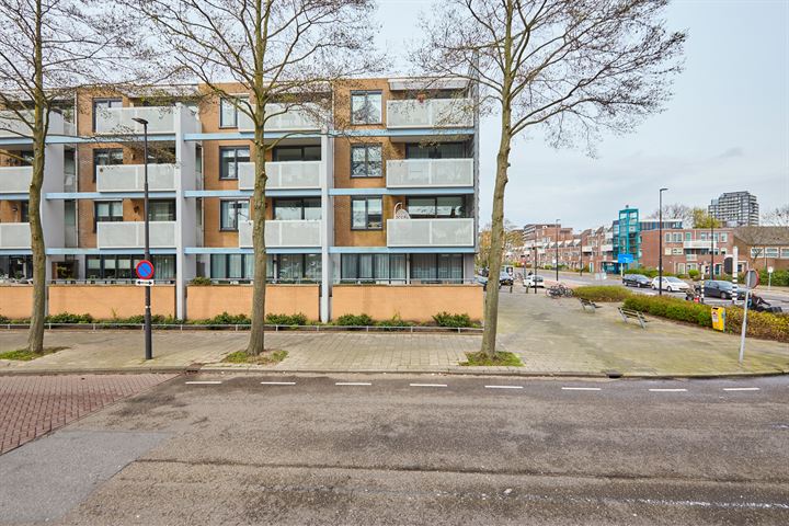 Bekijk foto 11 van Hilbersplein 42