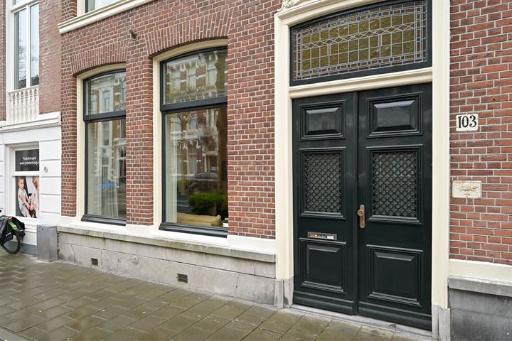 View photo 6 of Laan Copes van Cattenburch 103