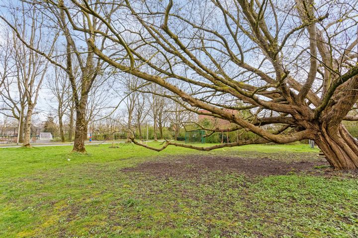 Bekijk foto 54 van Wederikweg 108