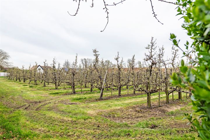 Bekijk foto 3 van Zennewijnenseweg 17