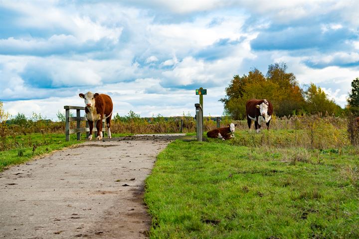 Bekijk foto 19 van Eeser Buiten | Strandsingel 3